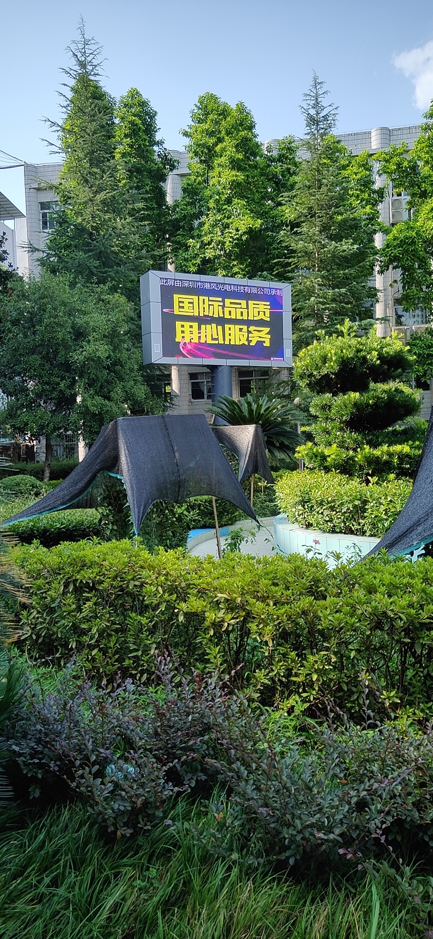 쿪ѧP636O